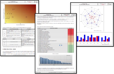 Final report