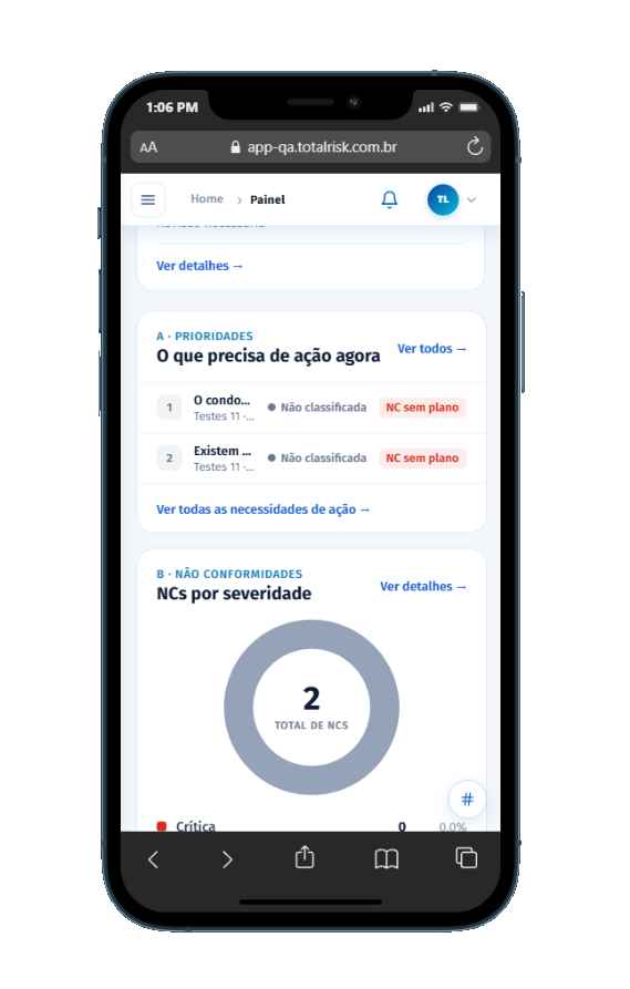 Painel GOE do t-Risk Easy em um celular